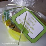 DSCF9769 150x150 Cheap and Easy St. Pattys Day Basket for kids