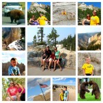 Vaca 150x150 Five Tips for Road Trips with Kids #Culturellekids