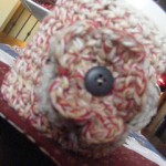 DSCF9333%25255B1%25255D 150x150 Crochet Flower Brooch