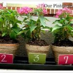 jute2 150x150 Whitney Farms® 100% Natural & Organic products for your summer plants