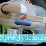 spring cleaning 150x150 Whitney Farms® 100% Natural & Organic products for your summer plants