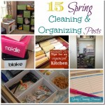 springcleaning 2 thumb 150x150 Resolution #1 Organize Everything!!