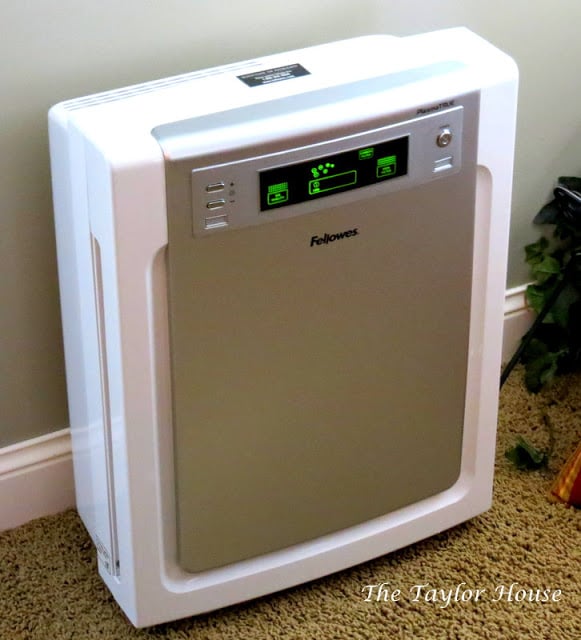  Ten Tips for Dealing with Dust Mite Allergies