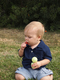  Guest Post from The Grant Life