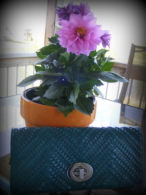  Fashion To Figure Clutch