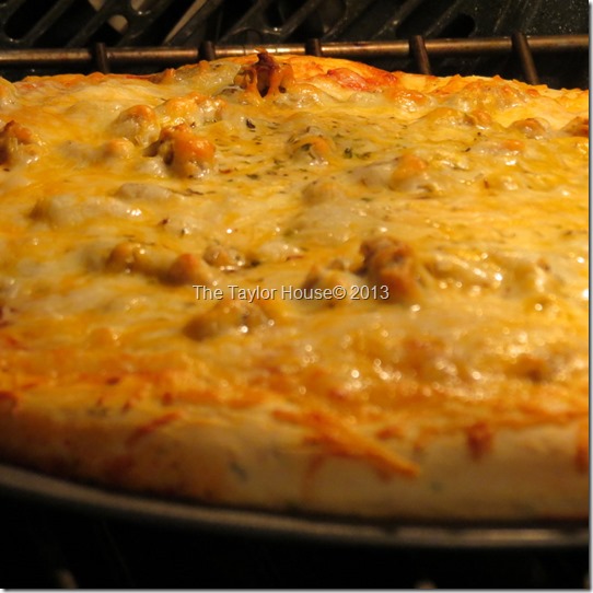 Homemade pizza dough recipes, Pizza recipes, pizza dough