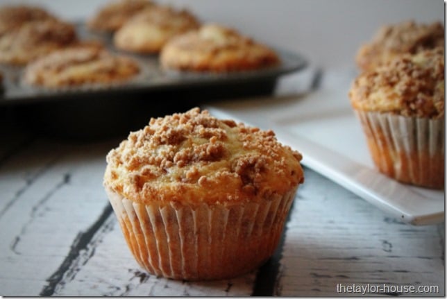Cinnamon Sugar Muffins