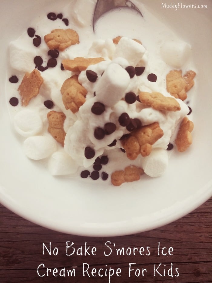 No-bake-easy-to-make-homemade-smore-ice-cream-kids-recipe