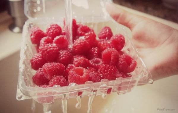 kids in the kitchen recipes easy