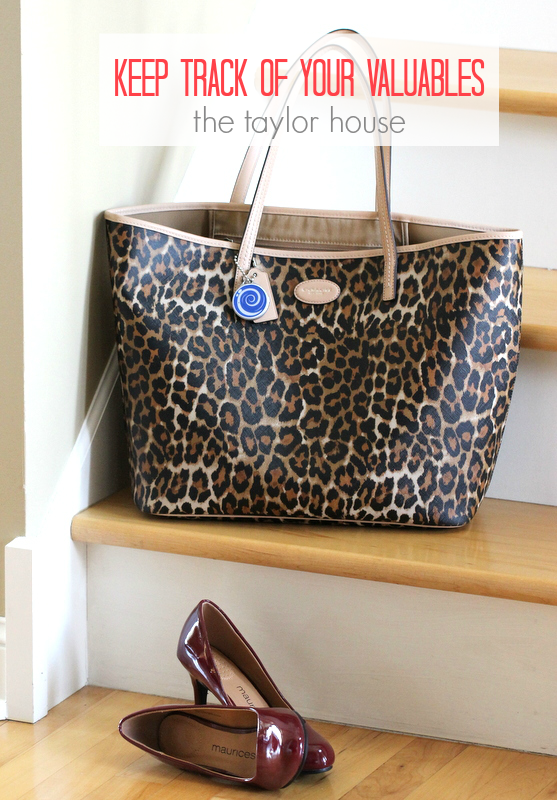 Keep Track of Your Valuables with Lollipop PC! 
