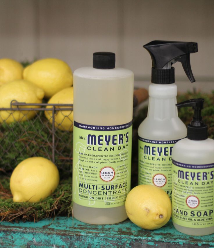 Free Cleaning Kit and Make your own Foaming Soap!