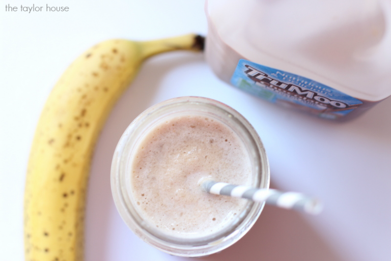 Chocolate Milk Smoothie