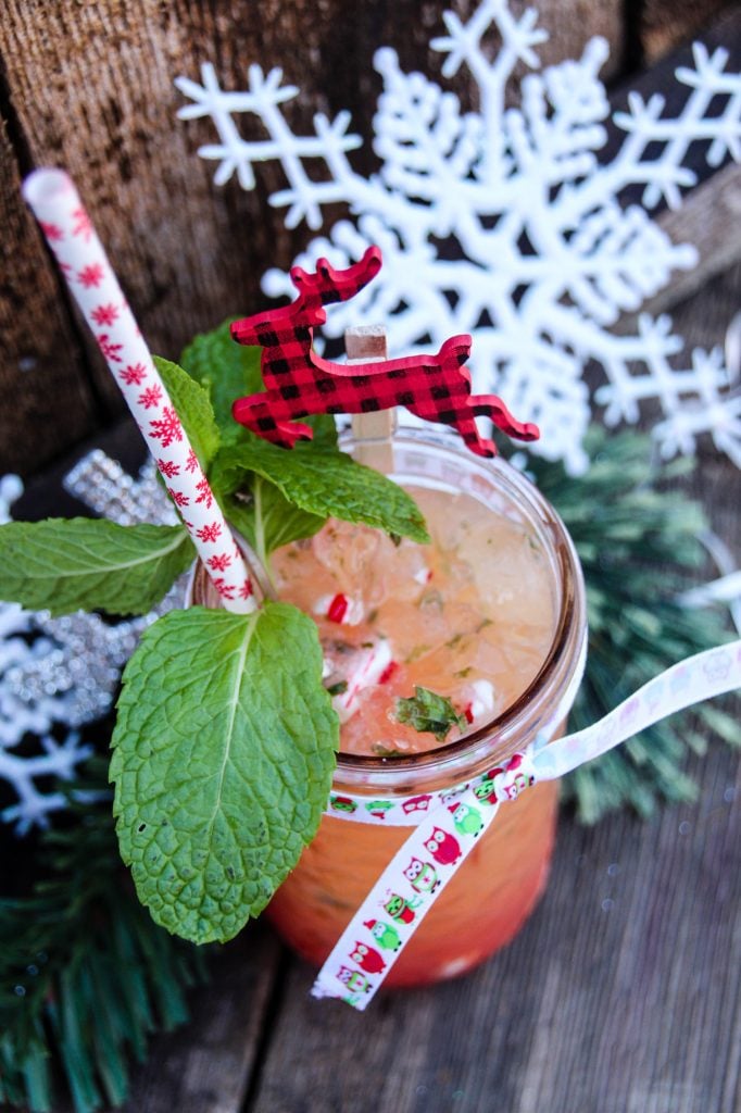 The perfect Holiday Blitzen Grapefruit Mocktail! 