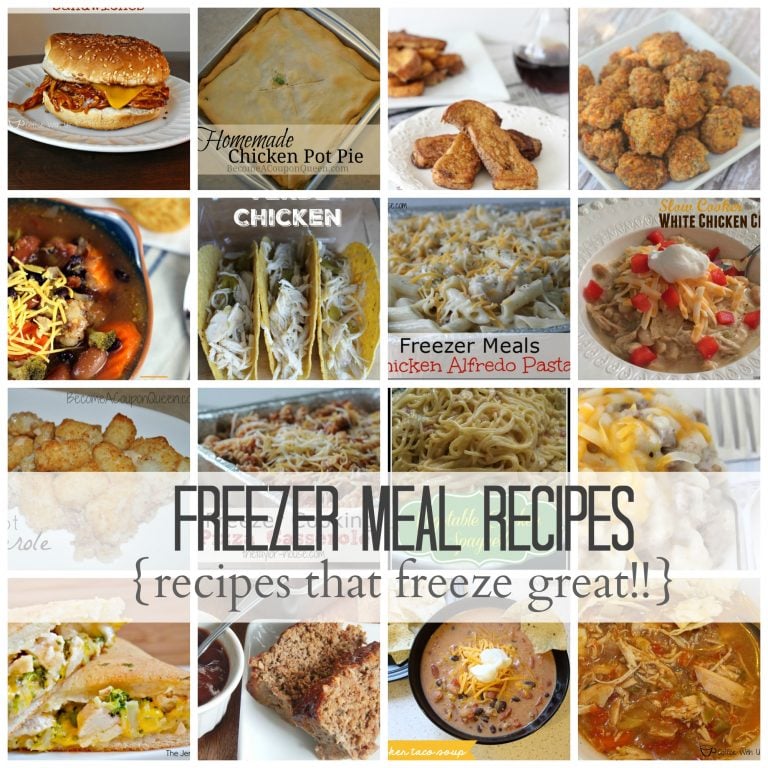 Over 20 Freezer Meal Recipes