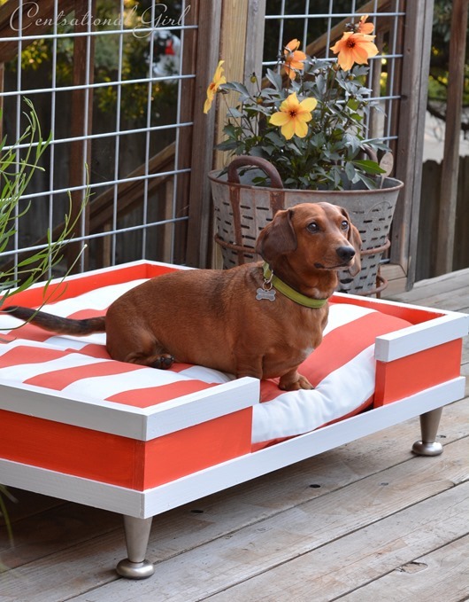 DIY Modern Pet Bed