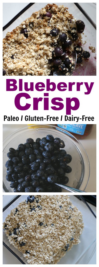 Gluten Free Blueberry Crisp Recipe