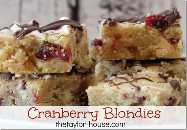 Cranberry Blondies Recipe