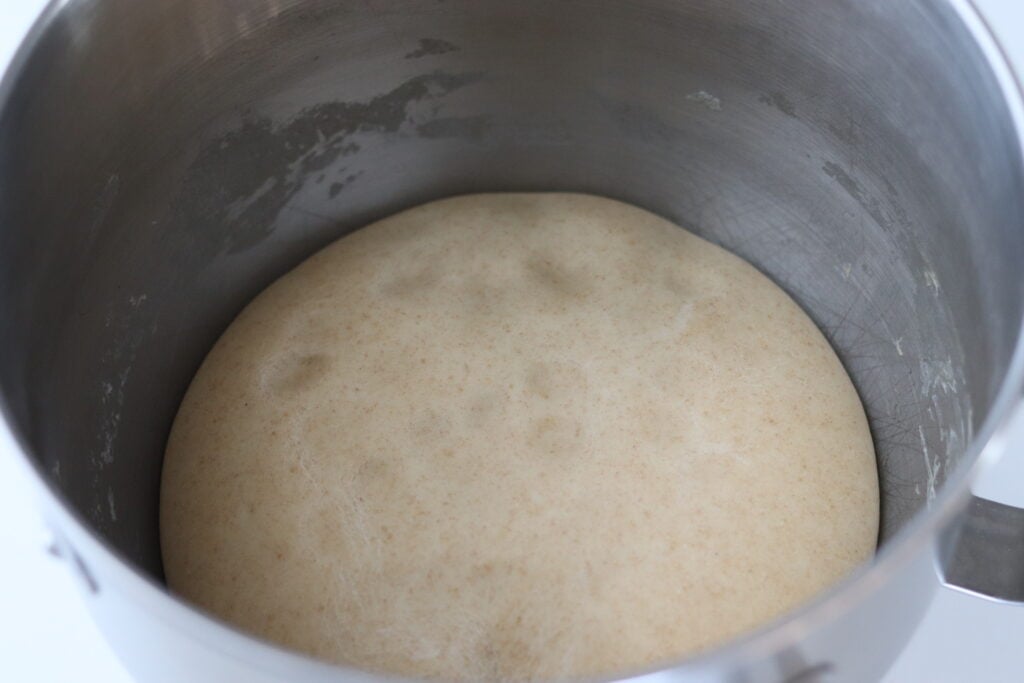 Sourdough pretzel bites after rising